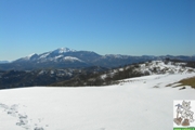 Clicca qui per vedere l'immagine in dettaglio